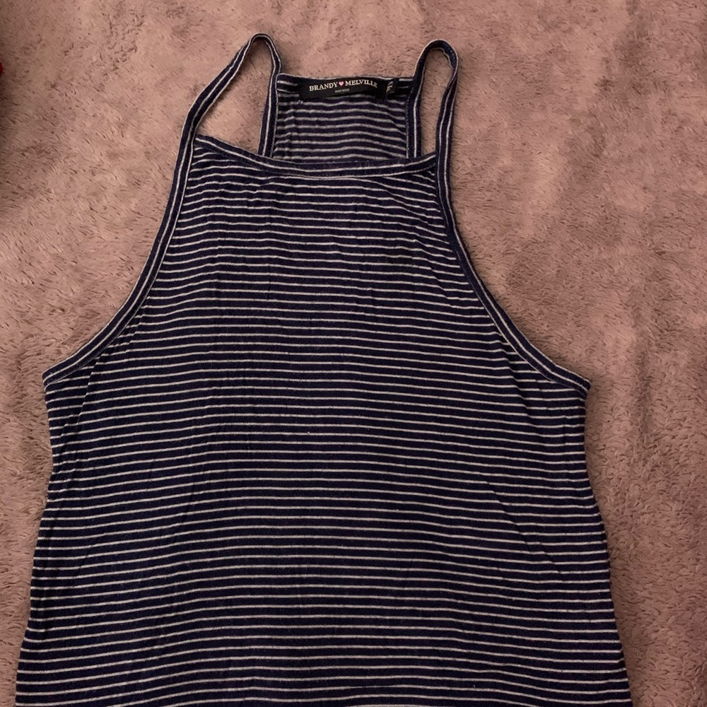 Brandy Melville Crop Top